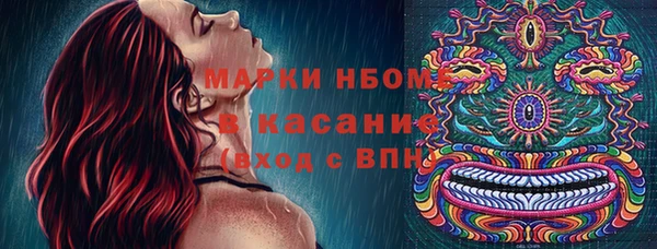 амф Каменногорск