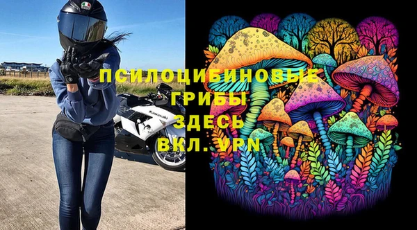 хмурый Надым
